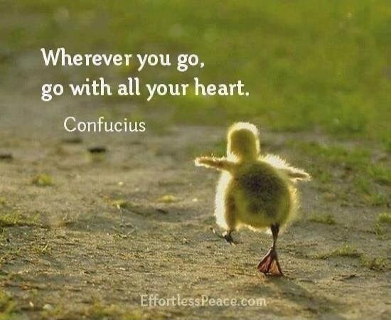 Wherever you go, go with all your heart. Confucius EffortlessPeace.com