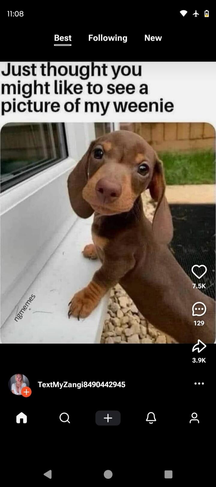 Just thought you might like to see a picture of my weenie