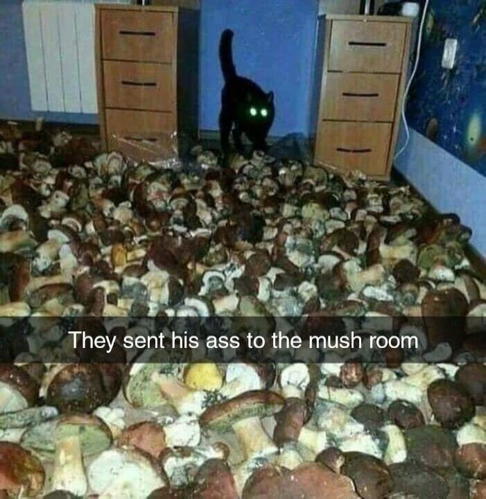 r_d A we _ S They sent his ass to the mush room o