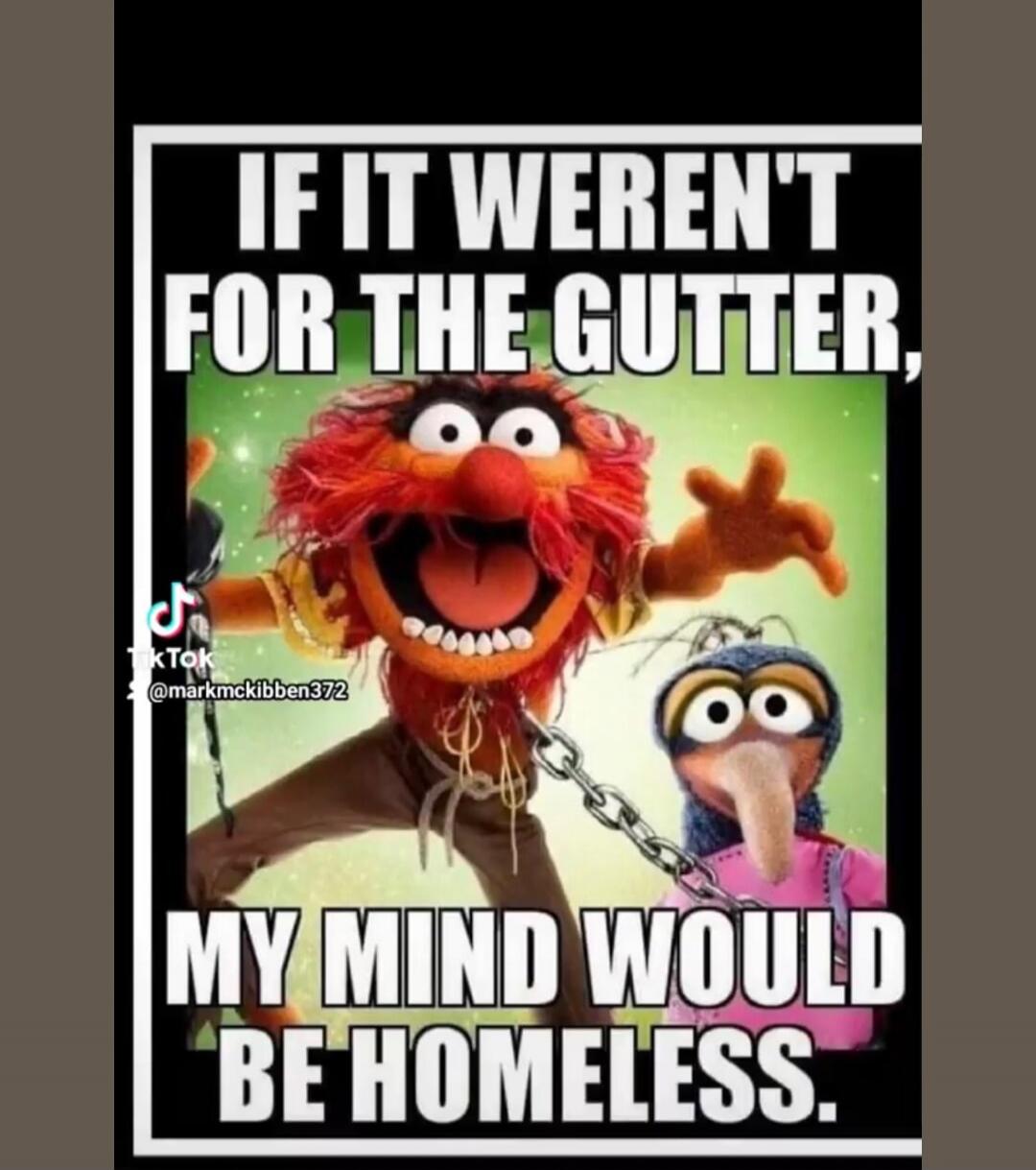 IF IT WEREN'T FOR THE GUTTER, MY MIND WOULD BE HOMELESS.