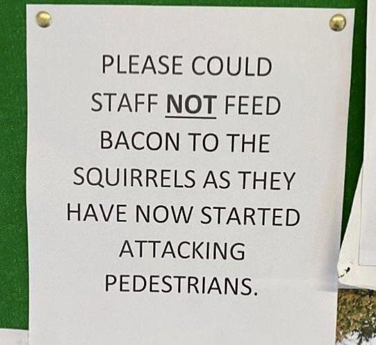 PLEASE COULD STAFF NOT FEED BACON TO THE SQUIRRELS AS THEY HAVE NOW STARTED ATTACKING PEDESTRIANS H