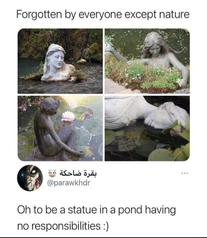 Forgotten by everyone except nature ERTNPY Y parawkhdr Oh to be a statue in a pond having no responsibilities