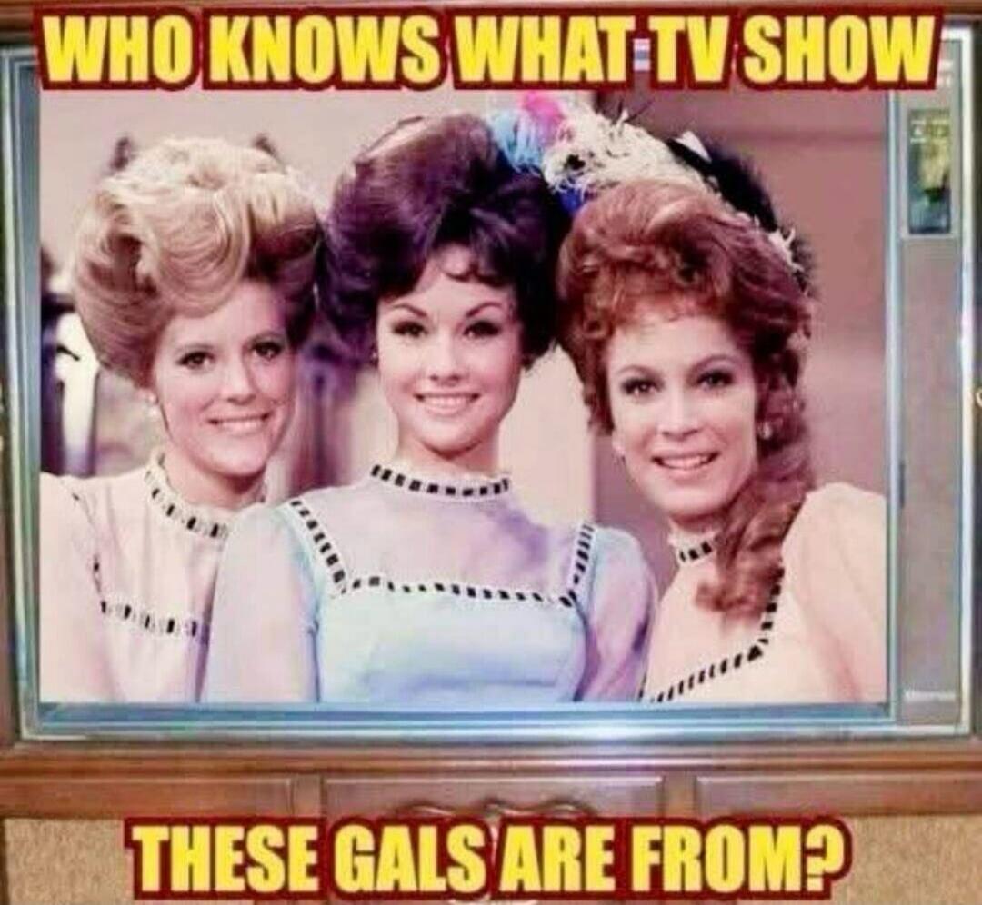 WHO KNOWS WHAT TV SHOW THESE GALS ARE FROM?