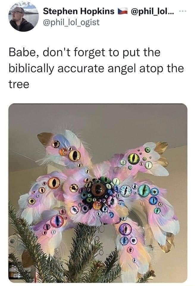 Stephen Hopkins k phil_lol Y phil_lol_ogist Babe dont forget to put the biblically accurate angel atop the tree