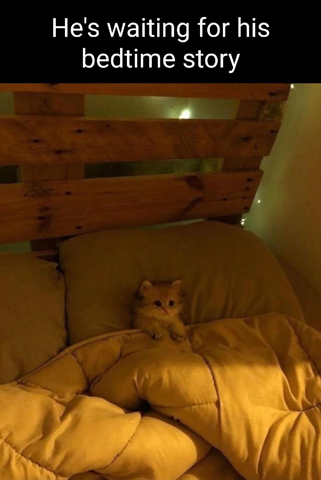 R EERVEN TR oIS bedtime story s GI y