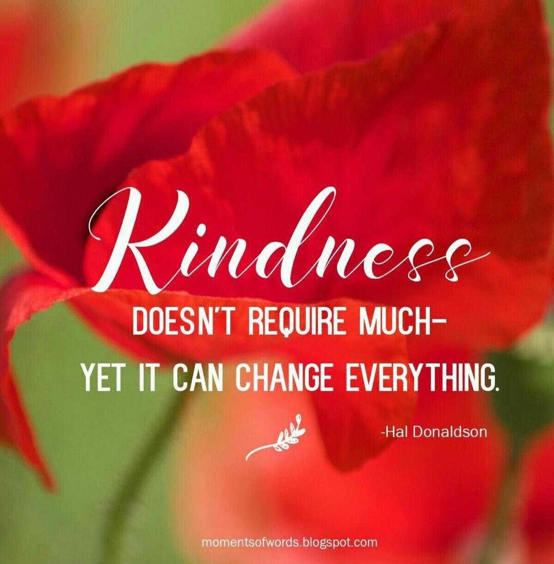 Kindness doesn't require much- yet it can change everything. - Hal Donaldson