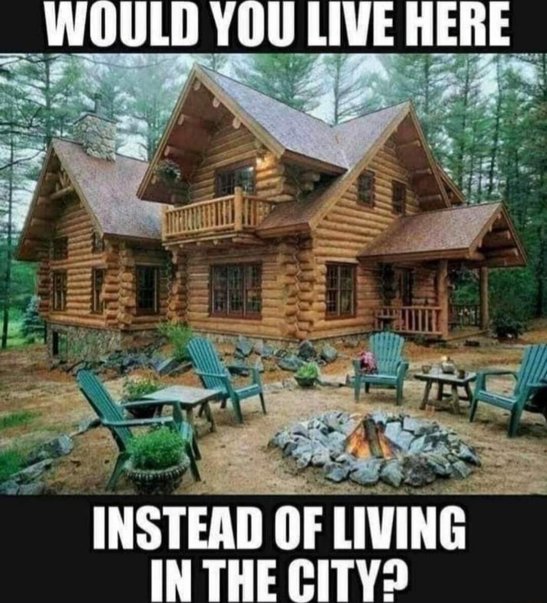 WOULD YOU LIVE HERE INSTEAD OF LIVING IN THE CITY?