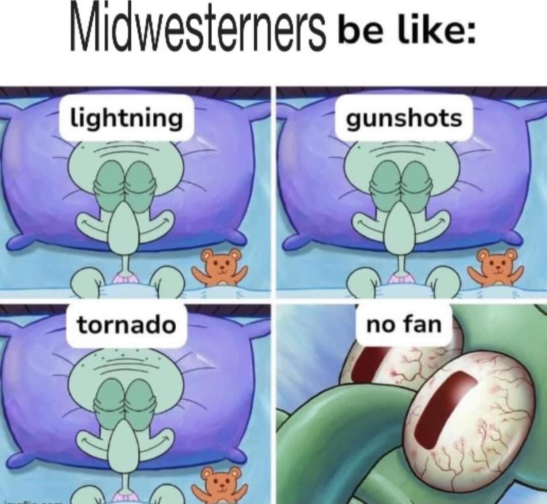 Miawesterners be like lightning