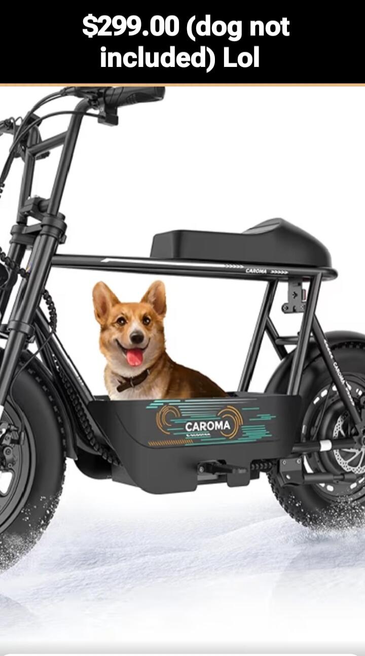 $299.00 (dog not included) Lol