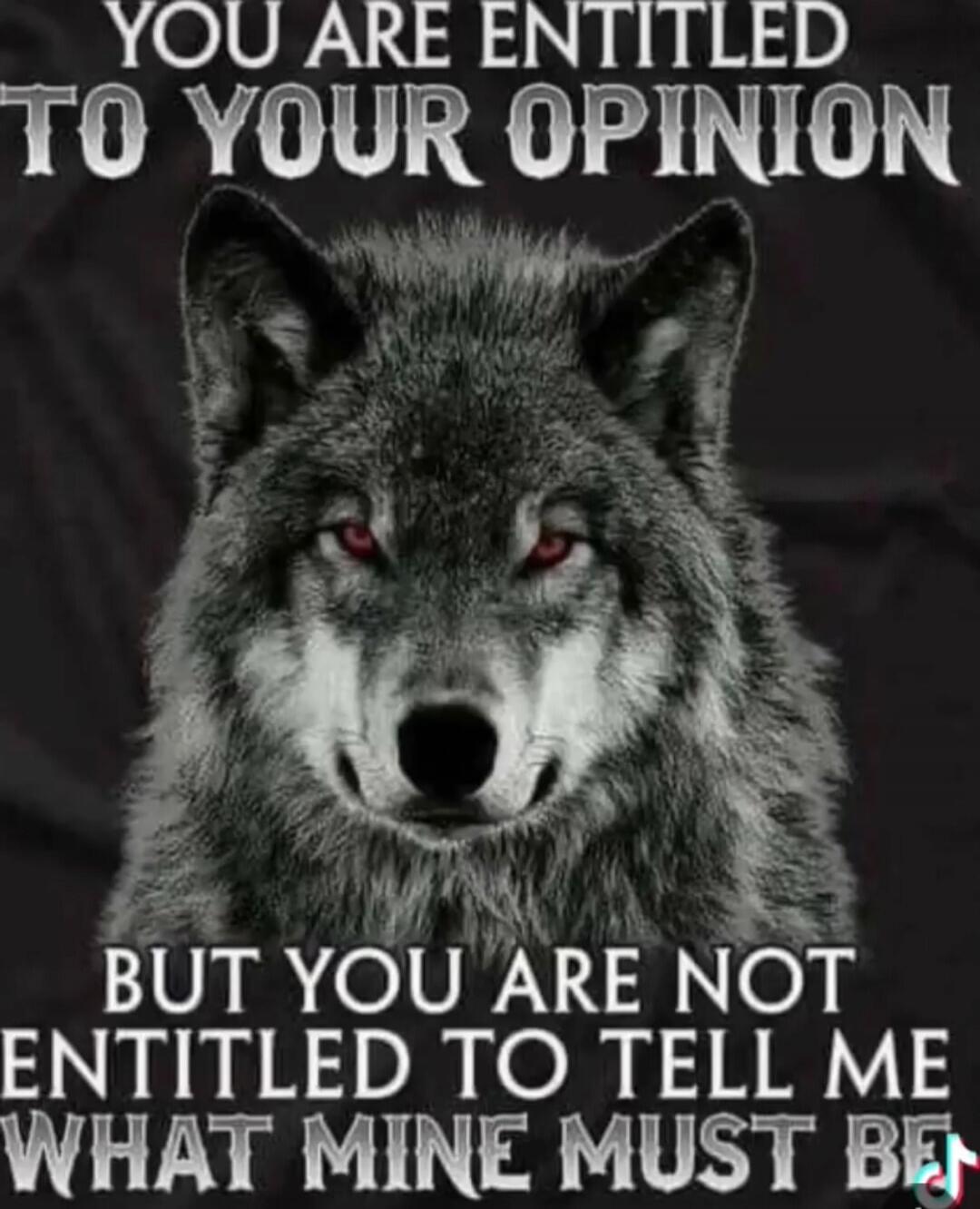 YOU ARE ENTITLED TO YOUR OPINION BUT YOU ARE NOT ENTITLED TO TELL ME WHAT MINE MUST BE