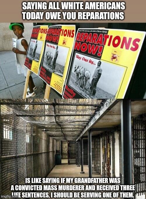 SAYING ALL WHITE AMERICANS TODAY OWE YOU REPARATIONS IS LIKE SAYING IF MY GRANDFATHER WAS A CONVICTED MASS MURDERER AND RECEIVED THREE LIFE SENTENCES, I SHOULD BE SERVING ONE OF THEM. Posters visible say 'REPARATIONS NOW!' and 'They Owe Us...'