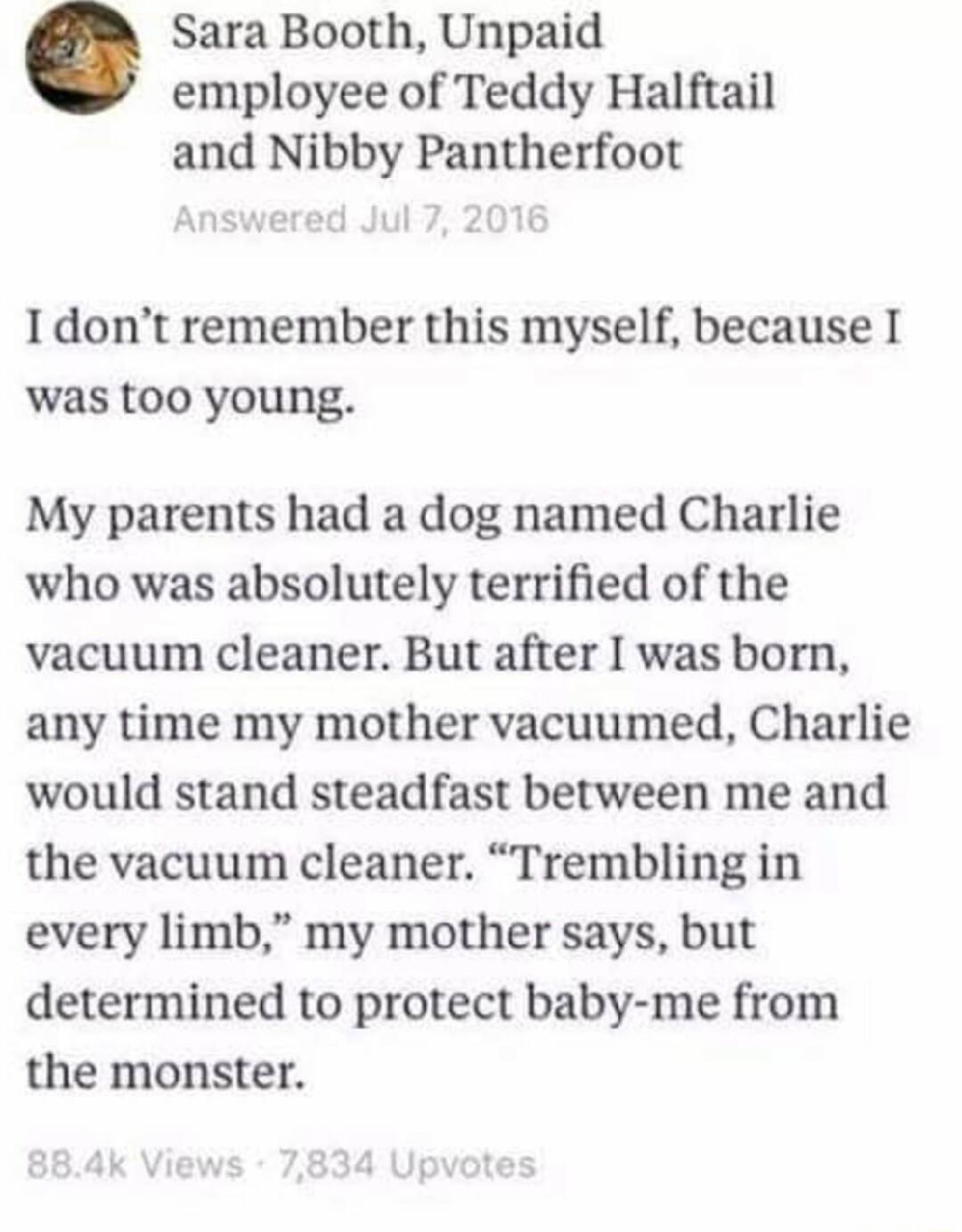 Sara Booth Unpaid employee of Teddy Halftail and Nibby Pantherfoot 1dont remember this myself because I was too young My parents had a dog named Charlie who was absolutely terrified of the vacuum cleaner But after I was born any time my mother vacuumed Charlie would stand steadfast between me and the vacuum cleaner Trembling in every limb my mother says but determined to protect baby me from the m