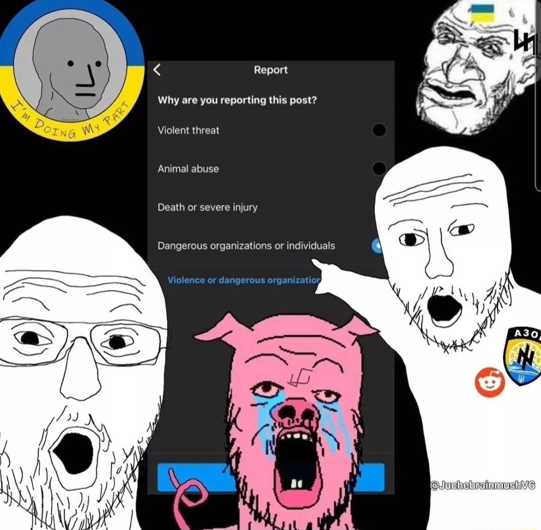 Revert Why areyou reportiog s post