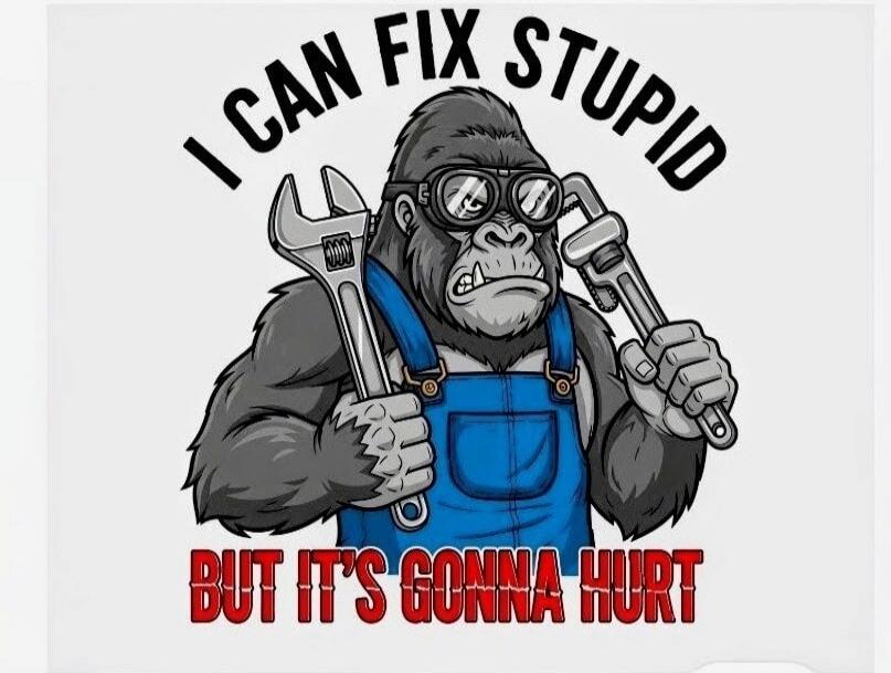 I CAN FIX STUPID BUT IT'S GONNA HURT