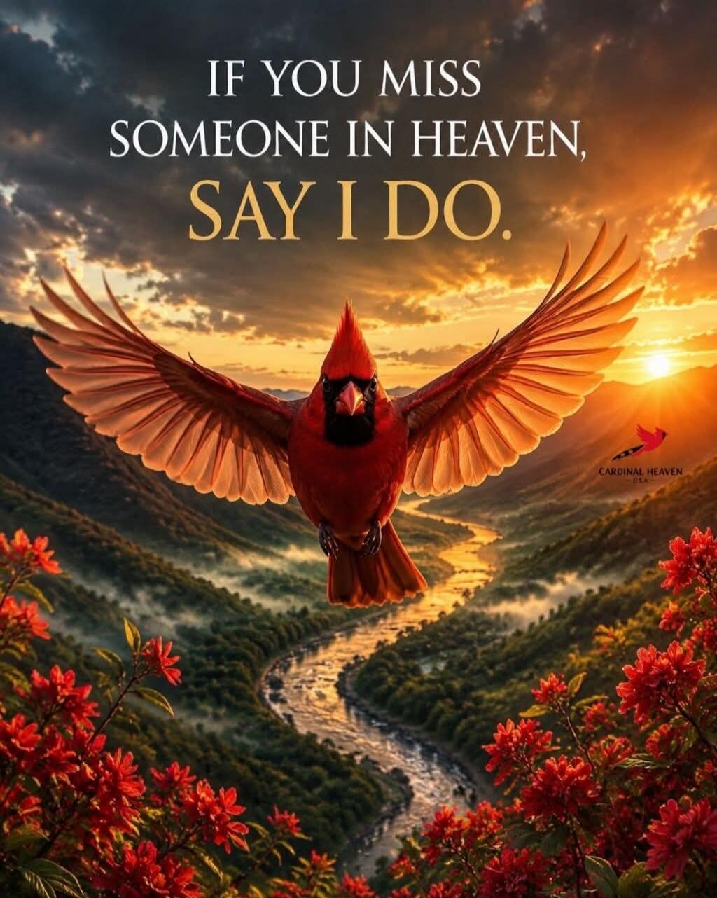 IF YOU MISS SOMEONE IN HEAVEN, SAY I DO. CARDINAL HEAVEN USA