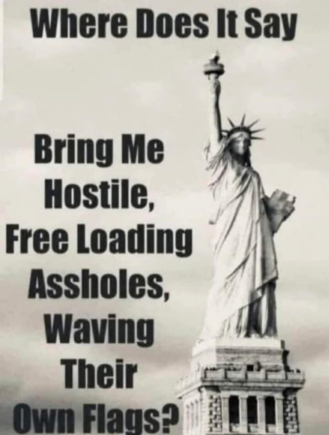 Where Does It Say Bring Me Hostile, Free Loading Assholes, Waving Their Own Flags?