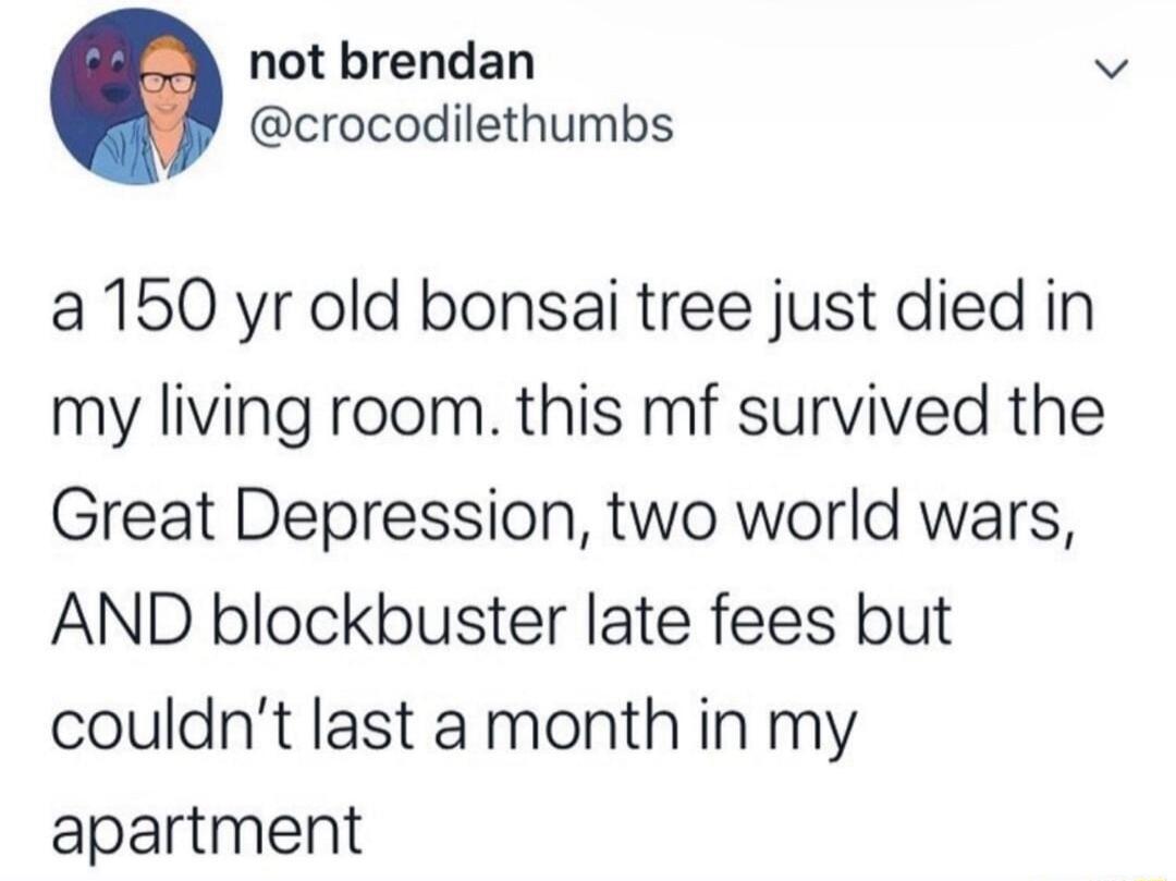 not brendan v crocodilethumbs a150 yr old bonsai tree just died in my living room this mf survived the Great Depression two world wars AND blockbuster late fees but couldnt last a month in my apartment