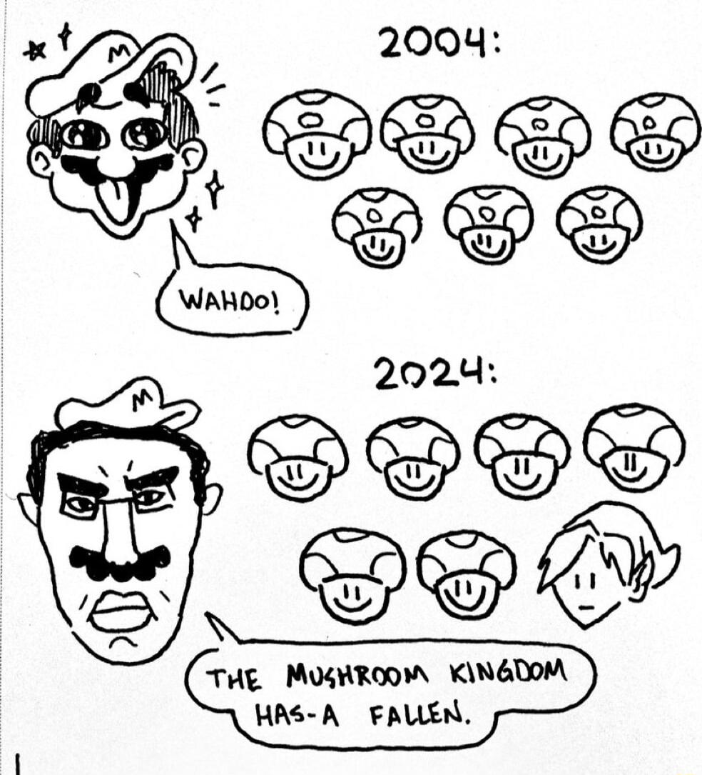 DDLY THE MUSHROOM KINGDOM HAS A FALLEN