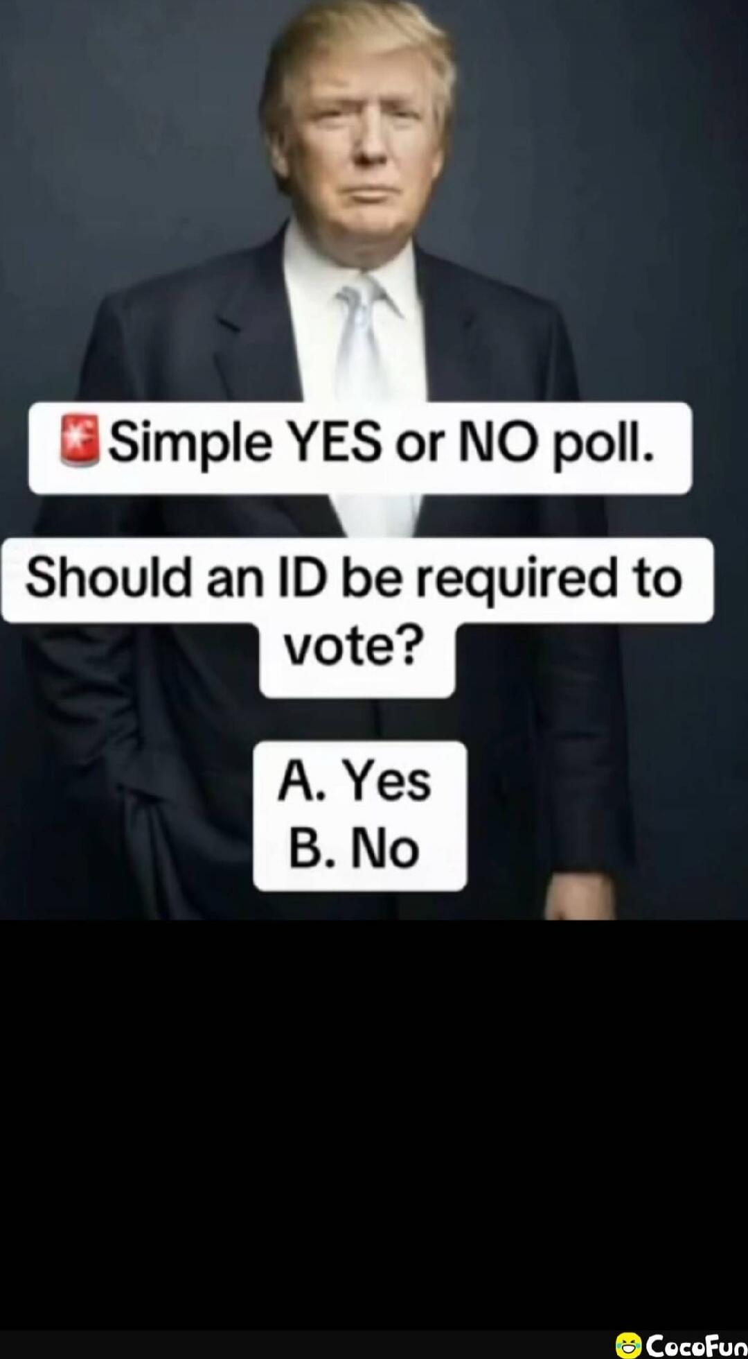 🇨 Simple YES or NO poll. Should an ID be required to vote? A. Yes B. No