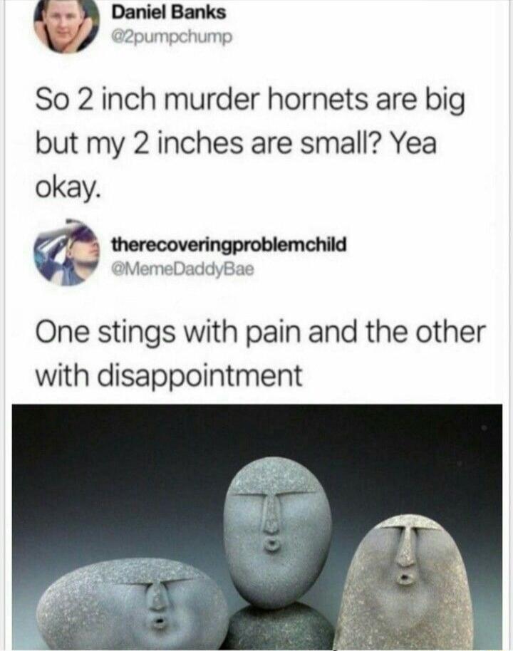 wsm 2pumpchumg So 2 inch murder hornets are big but my 2 inches are small Yea okay One stings with pain and the other with disappointment