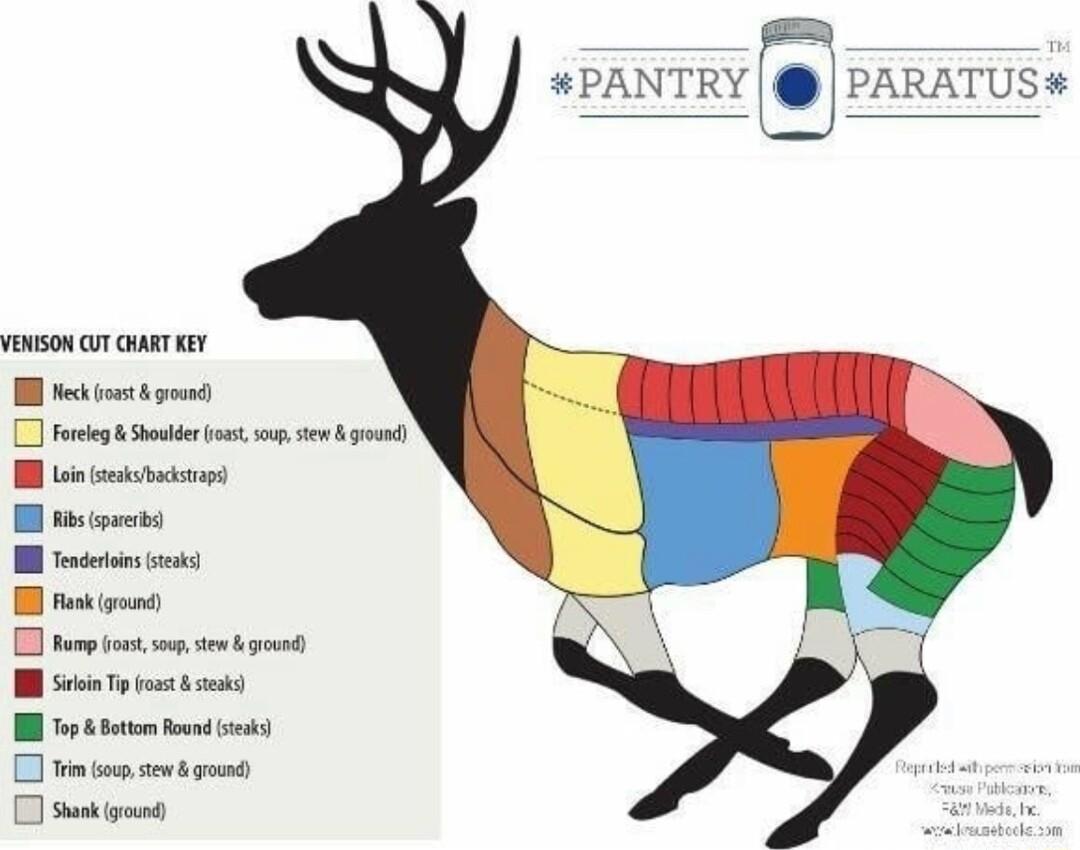 PANTRY J PARATUS VONSON QT CHARTKEY I kot gount o St s st ot Cp N s T s P o et 0 st