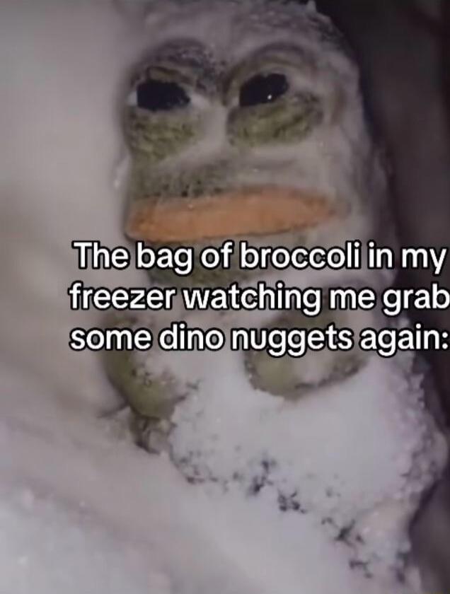 The bag of broccoli in my freezer watching me grab some dino nuggets again: