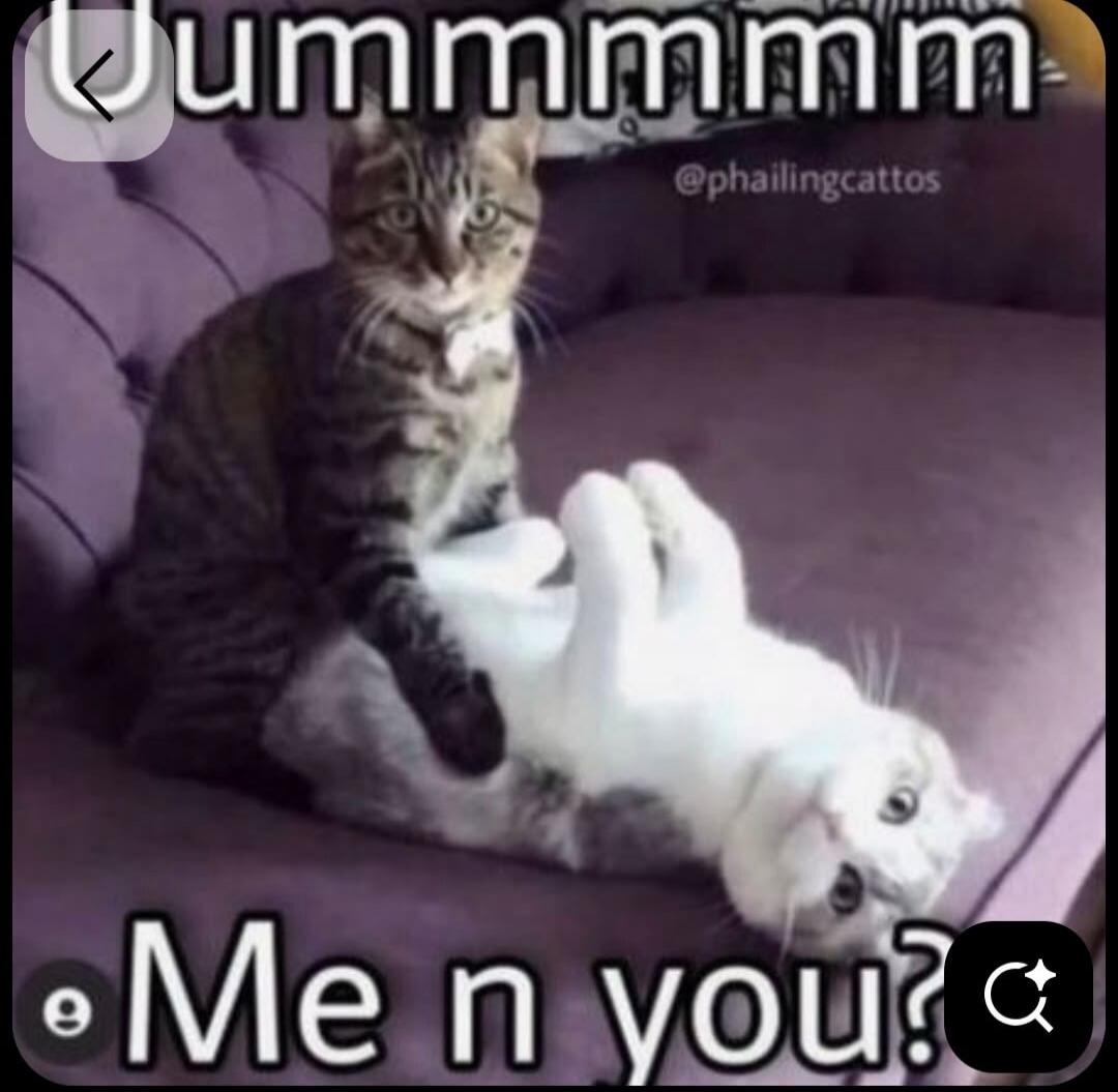 Ummmmmm Me n you?
