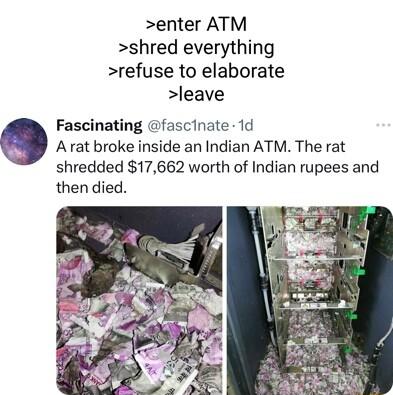 enter ATM shred everything refuse to elaborate leave Fascinating fascinate 1d Q Arat broke inside an Indian ATM The rat shredded 17662 worth of Indian rupees and then died