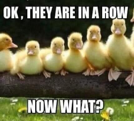 OK, THEY ARE IN A ROW NOW WHAT?