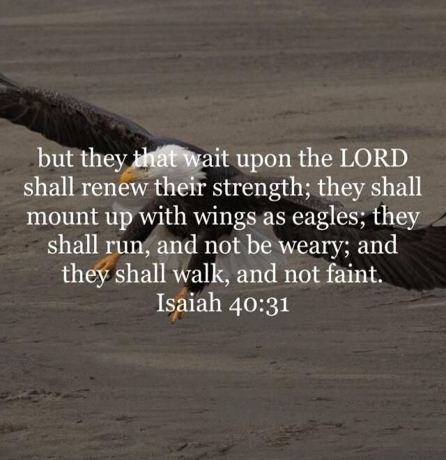 but they that wait upon the LORD shall renew their strength; they shall mount up with wings as eagles; they shall run, and not be weary; and they shall walk, and not faint. Isaiah 40:31