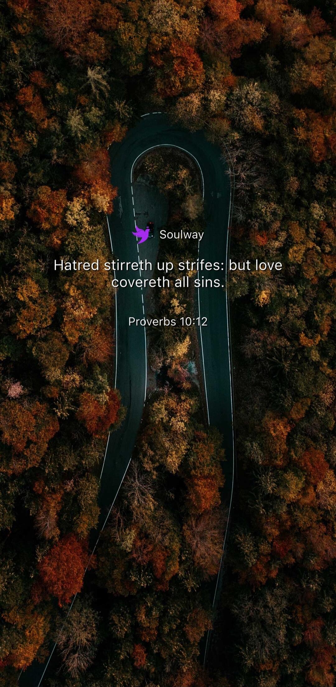 Soulway Hatred stirreth up strifes: but love covereth all sins. Proverbs 10:12