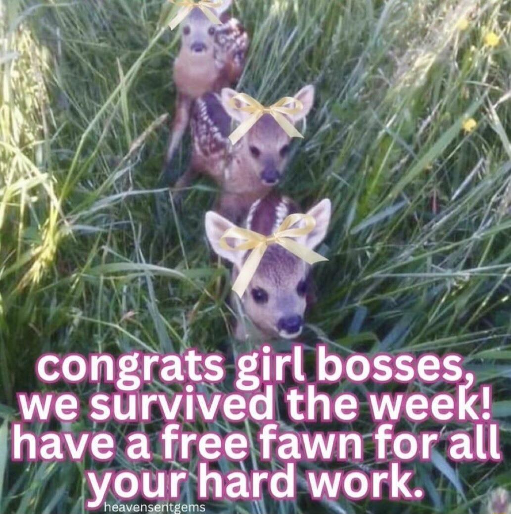 PR conra_ts girl bosses VR aVAAVCTe R CRITETE have a free fawn for all your hard work Meavensditiems s 1 A