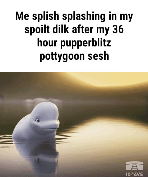 Me splish splashing in my spoilt dilk after my 36 hour pupperblitz pottygoon sesh