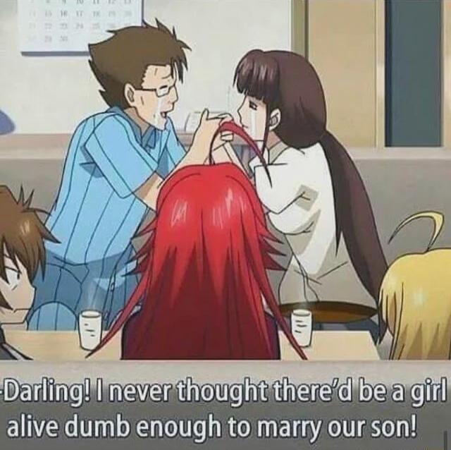 DarlingIneverthoughttheredbetagirl alive dumb enough to marry our son