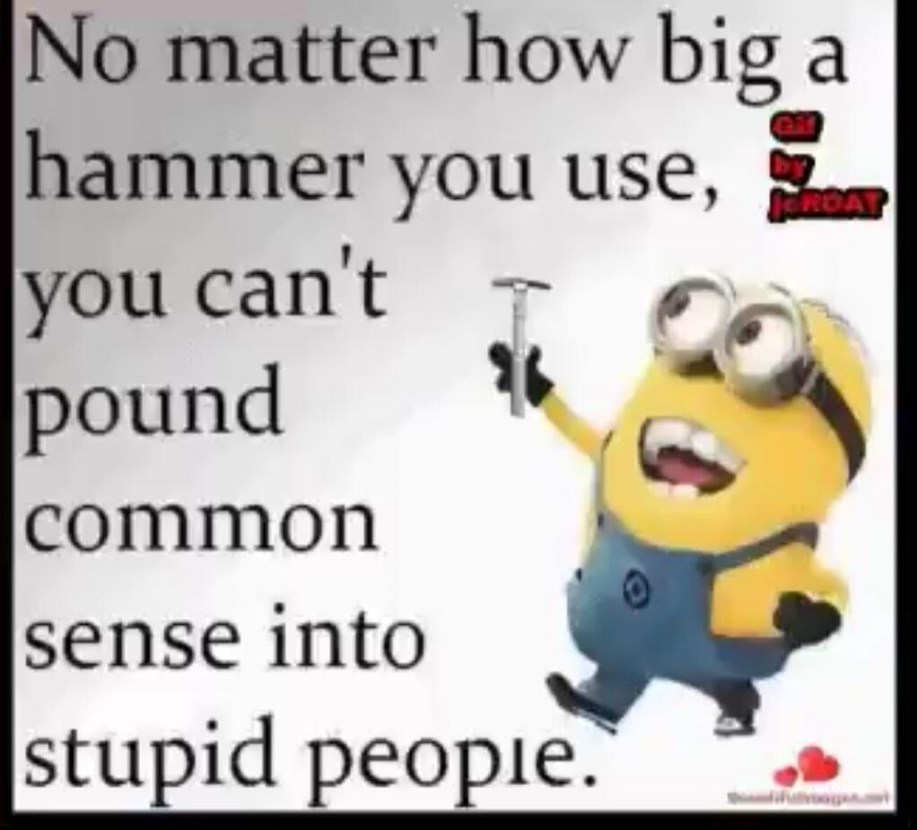 No matter how big a hammer you use, you can't pound common sense into stupid people. GIF by JEROAT.