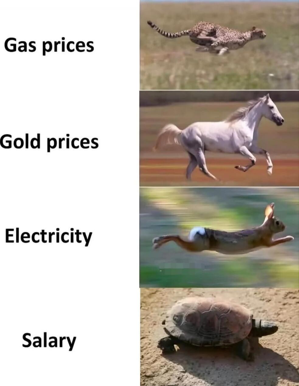 Gas prices
Gold prices
Electricity
Salary