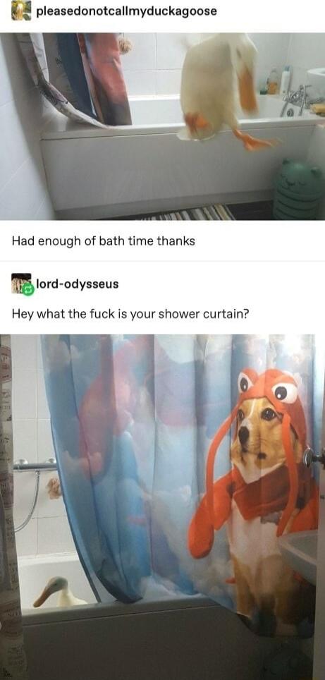8 pleasedonotcallmyduckagoose Had enough of bath time thanks F lord odysseus Hey what the fuck is your shower curtain