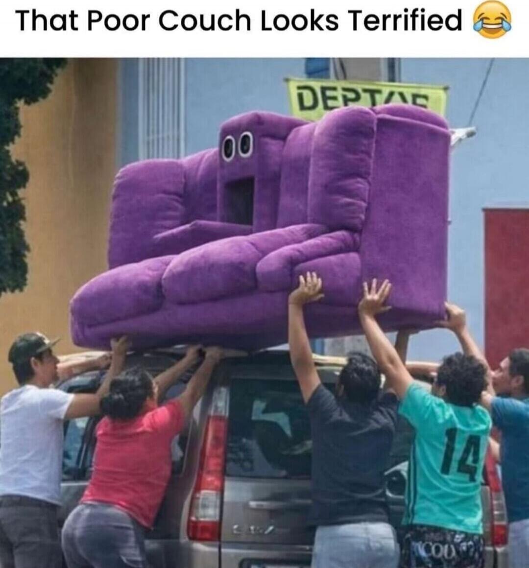 That Poor Couch Looks Terrified 😂
