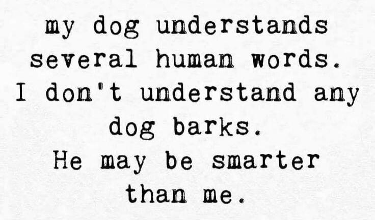 my dog understands several human words. I don't understand any dog barks. He may be smarter than me.