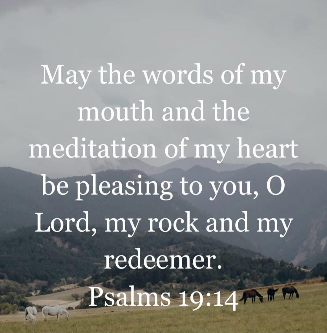 May the words of my mouth and the meditation of my heart be pleasing to you, O Lord, my rock and my redeemer. Psalms 19:14