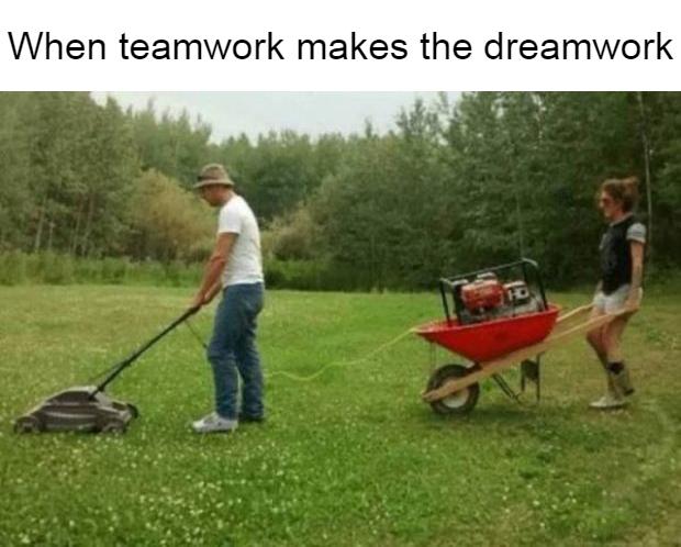 When teamwork makes the dreamwork