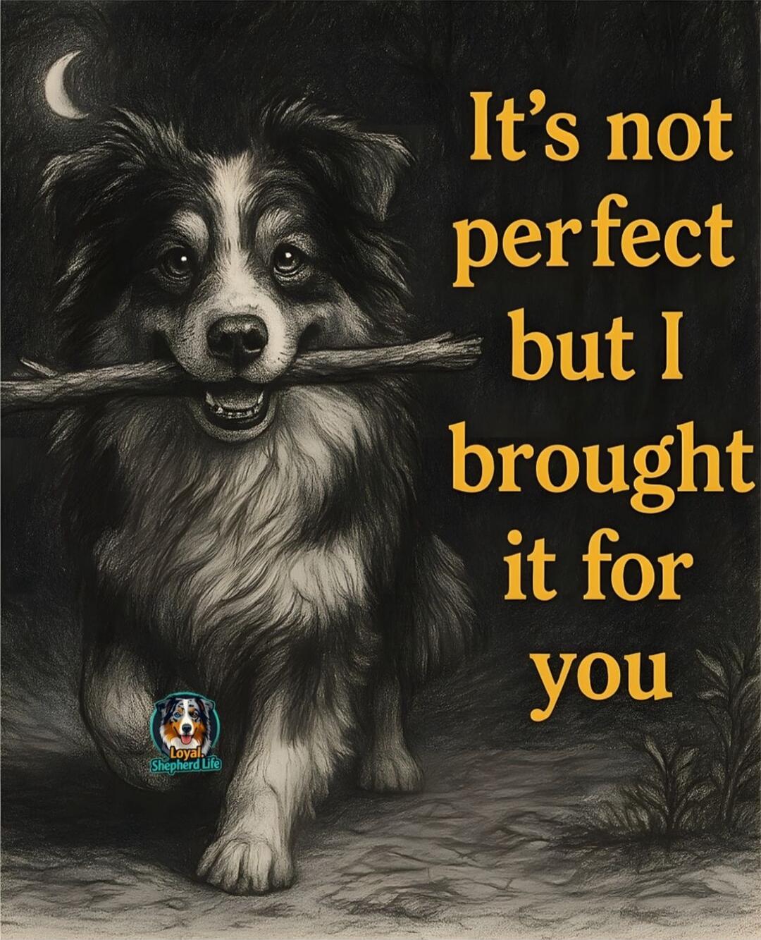 It's not perfect but I brought it for you