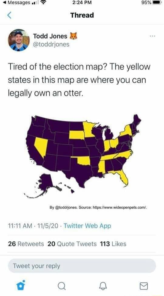 4 Messages ul 224PM Thread Todd Jones M toddrjones Tired of the election map The yellow states in this map are where you can legally own an otter o By lodariones Souce higs wideopenpats com 1111 AM 11520 Twitter Web App 26 Retweets 20 Quote Tweets 113 Likes Tweet your reply o Q Q