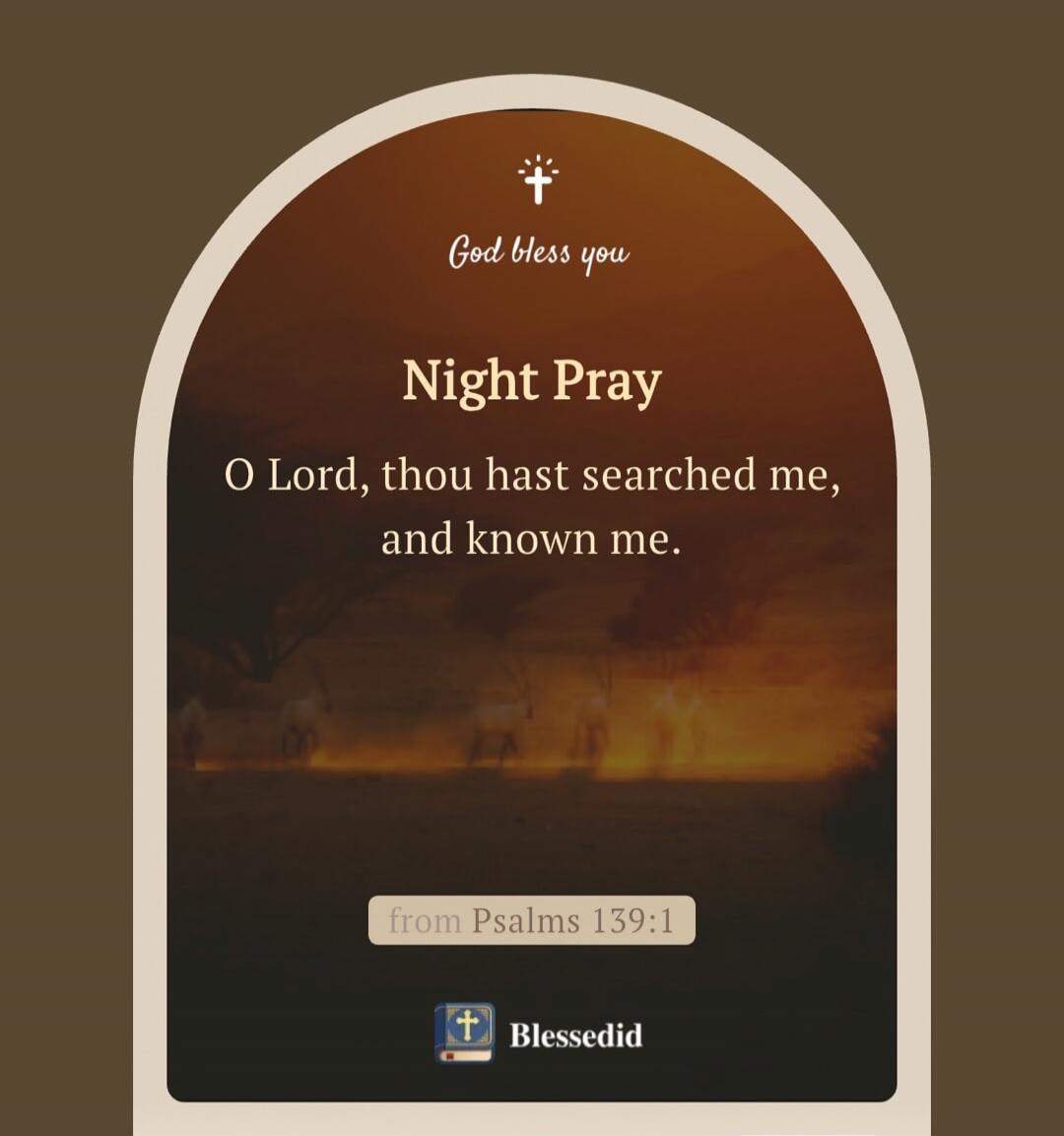 God bless you
Night Pray
O Lord, thou hast searched me, and known me.
from Psalms 139:1
Blessedid