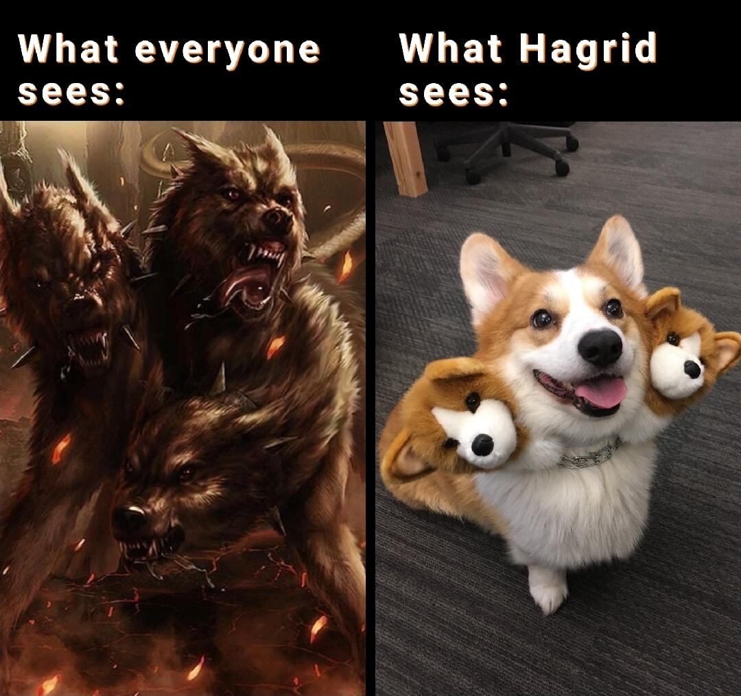 LETRATY Y B ET T sees sees