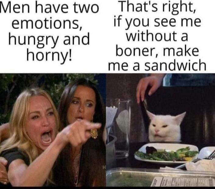 Men have two emotions, hungry and horny! That's right, if you see me without a boner, make me a sandwich