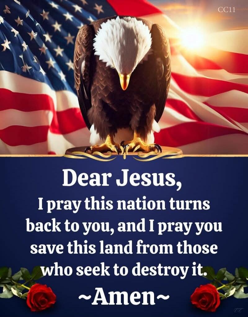 Dear Jesus, I pray this nation turns back to you, and I pray you save this land from those who seek to destroy it. ~Amen~