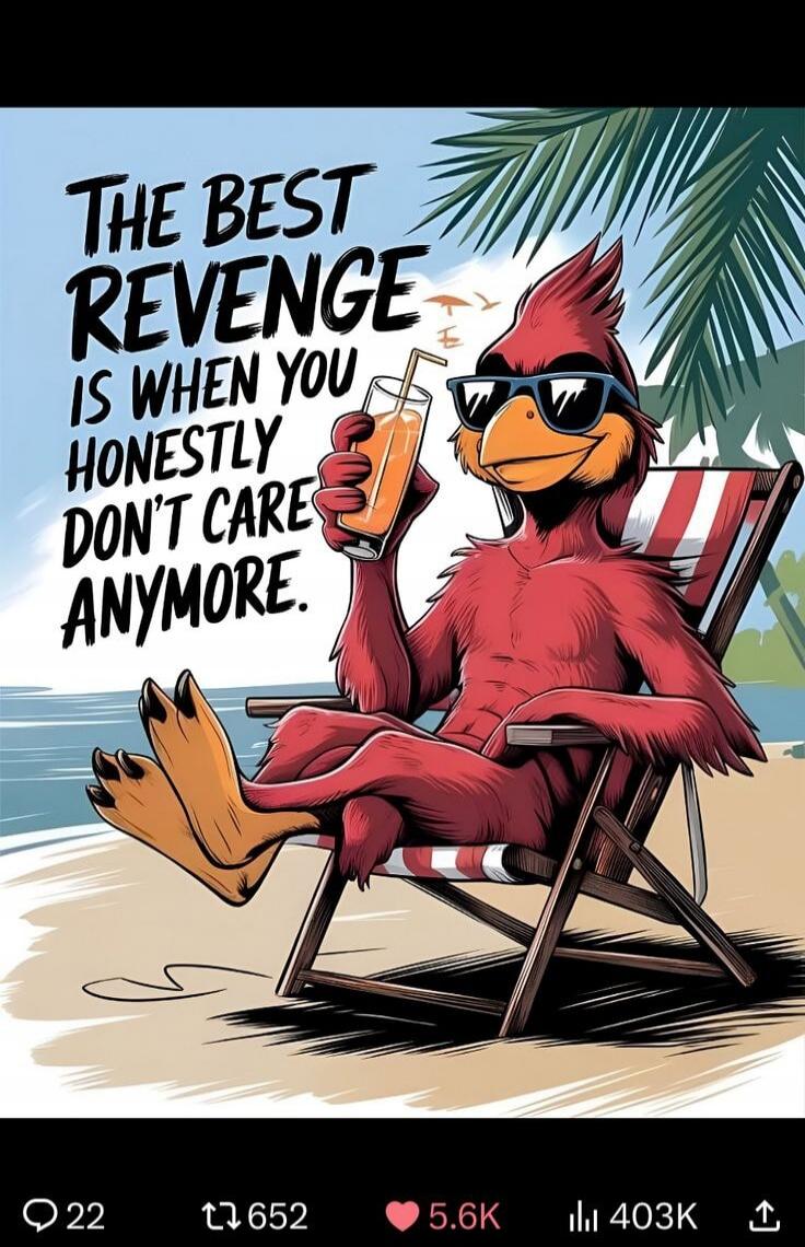 THE BEST REVENGE IS WHEN YOU HONESTLY DON'T CARE ANYMORE.