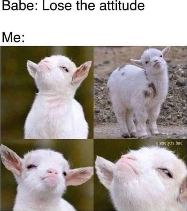 Babe Lose the attitude Me