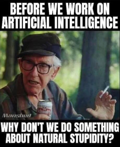 BEFORE WE WORK ON ARTIFICIAL INTELLIGENCE WHY DON'T WE DO SOMETHING ABOUT NATURAL STUPIDITY?